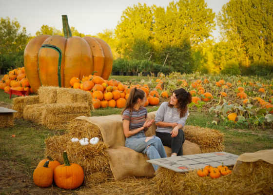 People on a straw couch in a pumpkin field